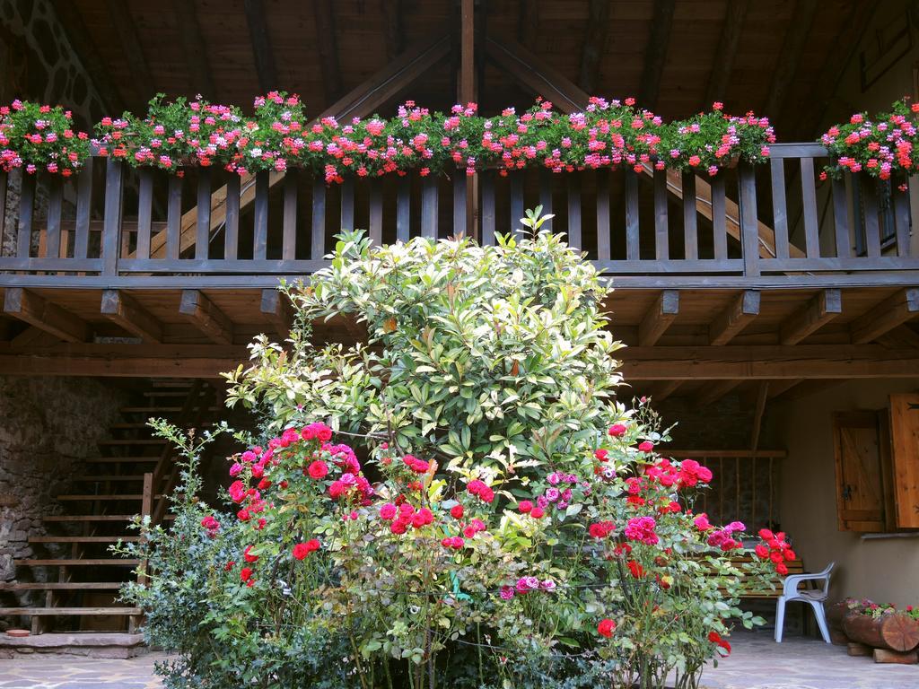 Turisme Rural Lo Palle De Cal Bosch Llagunes Экстерьер фото