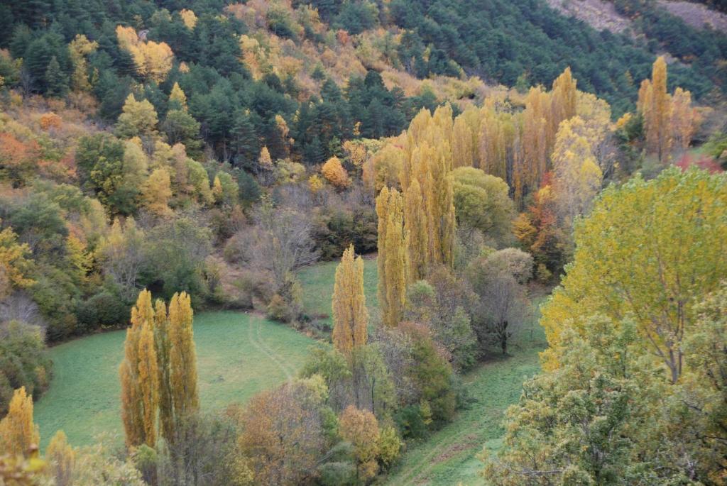 Turisme Rural Lo Palle De Cal Bosch Llagunes Экстерьер фото