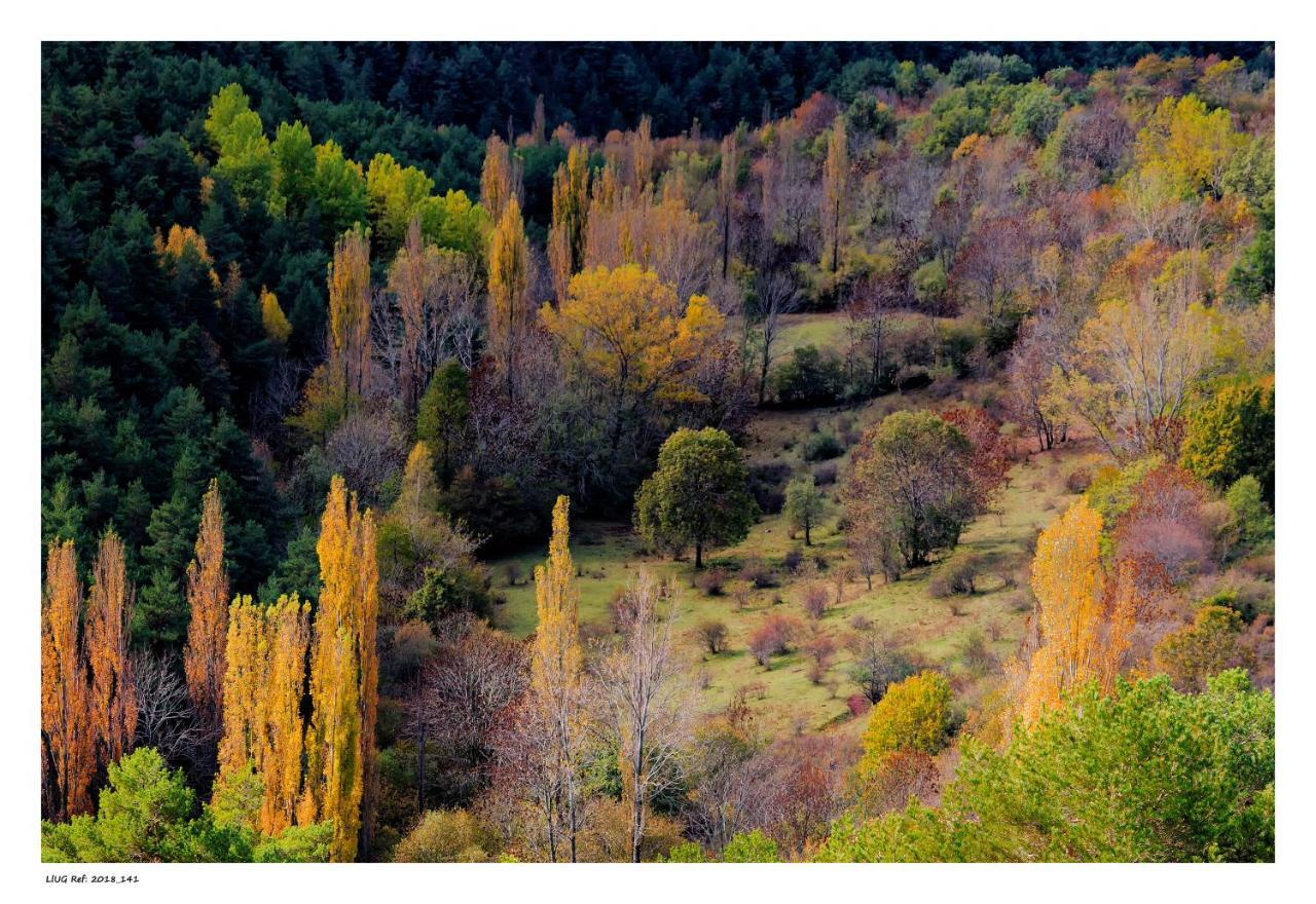 Turisme Rural Lo Palle De Cal Bosch Llagunes Экстерьер фото